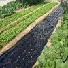 Outras ferramentas de jardim 25m 5hos 002mm Plantas agrícolas pretas de filme cultivado Cobertura de proteção de estufa perfurada por estufa PE Mulch 230422