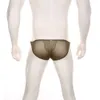 Men's Sexy Briefs See Through Mesh Underwear Transparent Bikini Breathable Ultra Thin Bulge Pouch Hombre