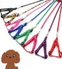 Harnais pour chien, laisses en Nylon imprimé, collier réglable pour animaux de compagnie, chiot, chat, accessoires pour animaux, collier corde Tie8247511