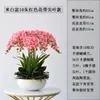 Decorative Flowers FQ Nordic Living Room Side Table Decoration Simulation Flower Pot Ornaments