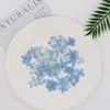 Fleurs décoratives 60PCS Pétales d'hortensias pressés séchés naturels Petit hortensia bleu Roses sèches pour bricolage Artisanat Résine Bijoux Nail Art