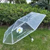 Paraplyer helautomatiska transparent paraply med färghandtag litet färskt trefold