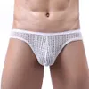 Sous-vêtements Sexy pour hommes, slip en maille transparent, respirant, translucide, imprimé Floral, dentelle, Bikini U convexe, ajouré, rayé, Hombre