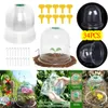 Andra trädgårdsverktyg 34PCSSet Plant Protect Bell Cover Plastic Mini Greenhouse Anti Freeze Covers For Flowers Accessories Clear 26x21cm 230422