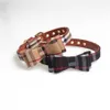 Collari per cani Guinzagli Aminger New Bow Collar Dog Triangle Sciarpa Collare per animali domestici con corda da traino