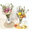 Decoratieve bloemen Natuurlijke gedroogde eucalyptus Daisy bloemen boeketten creativ geschenken ins wind meubels bohemian interieur bruiloften decoratie