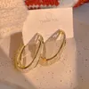 Hoop Earrings South Korea Dongdaemun Light Luxury Metal Mesh Earring Eardrop Temperament Exaggerated Personalized Design Sense E