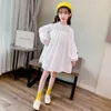 Girl Dresses 4-14 Years Baby Embroidery Dress Spring Summer Long Sleeve Children Puff Vestidos Teenage Wz572