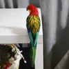 Garden Decorations Colorful Simulation Parrot Statue Animal Model Housewarming Gifts Feather Macaw for Patio Yard Porch Ornaments Decoration 230422