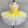 Stage Wear Professional Ballet Tutu For Girls Kids Platter Pancake Swan Lake Ballerina Dancing Performance Dancewear Leotard Skirt