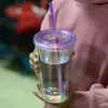 16 oz Akrilik LED Işık Yanıp Sönen Tumbler Kapak ve Pipetler Kar Globe Tumbler Çift Duvar Temiz Plastik Tumbler