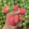 Symulowana owocowa żywność zabawka Zmieniająca kolor arbuz Muzyka Wolne odbijanie Dekompresyjne Dekompresyjne Artefakt Dekompresyjne