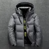 Herenjassen Winter Warm Heren Jasje Casual Herfst Stand Kraag Puffer Dikke Hoed Witte Eend Parka Mannelijke Dons Met Kap 231122