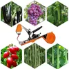 Otras herramientas de jardín Máquina de atado de plantas Herramienta de cinta Tapener Uvas Vides Dispositivo Tomates Pepino 230422