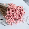 Fleurs décoratives 150 pièces Mini marguerite séchée petite étoile Bouquet plantes naturelles préserver Floral pour bureau mariage décoration de la maison