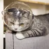 Andere kattenbenodigdheden Kat snuit Oorbel snuit Kitten Ademende anti-bijtbeschermende helm Verzorgingssnuiten Kat Verzorgingshoofdbedekking voor het baden 231122