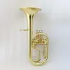 Wholesale musical instruments High quality chinese alto horn Gold Lacquered Alto horn