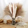 Flores decorativas 60 peças grama de pampas natural floral seco fofo decoração de casa sala de estar varanda festa de casamento cauda