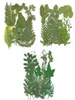 Dekoratif Çiçekler Karışık Preslenmiş Kurutulmuş Yaprak Yaprakları Mücevher için Bitki Herbaryum Kılıf Bookmark Scrapbook Davet Kart Yapımı