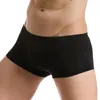 Caleçon Ultra-mince hommes sous-vêtements Sexy Transparent glace soie Boxer Shorts nu sans couture culotte