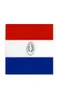 3x5 fts PY PRY The Republic of Paraguay flag Paraguayan whole factory 90x150cm3656954