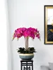Decorative Flowers FQ Nordic Living Room Side Table Decoration Simulation Flower Pot Ornaments