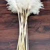 Decorative Flowers Cream Color 60cm Pampas Grass Fluffy Dried Indoor Natural Decor Bouquet Boho Living Room Decoration Gift