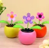 Solar Powered Dancing Flower Swinging Animated Dancer Toy Car Decoration Cars Solars Flowers Accessories Toys dh9707