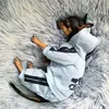 Hundkläder Pet Clothes French Bulldog Puppy Costume Jumpsuit Chihuahua Pug S S kläder för små medium S Drop 230422