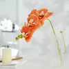 Decoratieve bloemen 5 stks kunstmatige phalaenopsis thuis bruiloft feest decoratie bloemplant latex orchid rekwisieten tak