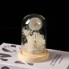 Eternal Dandelion Flower LED Shine Dandelions Ozdoba Glass Cover Holder Zachowany imprez