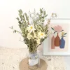 Decoratieve bloemen Natuurlijke gedroogde eucalyptus Daisy bloemen boeketten creativ geschenken ins wind meubels bohemian interieur bruiloften decoratie