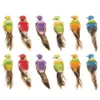 12 pcs Coloré Mini Simulation Oiseaux Faux Mousse Artificielle Modèle Animal Miniature De Mariage Maison Jardin Ornement Décoration C190416011933