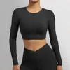 Yoga roupas esportes top colheita sutiã sexy aberto de volta apertado ginásio plus size à prova de choque fitness correndo ginásio roupas manga longa yoga camisa feminina 231122