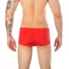 Boxer Transparent pour hommes, sous-vêtements en soie glacée, doux et respirant, culotte transparente Sexy, Cool, sans couture, Boxershort convexe en U