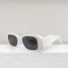 Luxus-Sonnenbrille für Männer und Frauen, 17WF, Designer-Stil, Anti-Ultraviolett, Retro, quadratische Platte, Vollrahmen, modische Brillen, zufällige Box