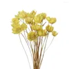 Dekorative Blumen, 150 Stück, getrocknete Mini-Gänseblümchen, kleiner Stern-Blumenstrauß, natürliche Pflanzen, konservieren Blumen für Büro, Hochzeit, Heimdekoration