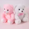 Bambole di peluche 22 cm Romantic Light Up LED Rosa Glowing Bear Glitter Teddy Doll Toy Creativo Regalo di Natale Decorazione di compleanno 231123