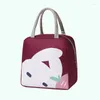 Sacs de rangement mignon dessin animé sac à déjeuner femme à l'extérieur isolé boîte portable décontracté mini fourre-tout sac à main