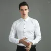 Camisas de vestido masculinas primavera outono camisa de manga longa não ferro negócios casual formal trabalho elástico fino ajuste branco rosa tops