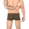 Boxer Transparent pour hommes, sous-vêtements en soie glacée, doux et respirant, culotte transparente Sexy, Cool, sans couture, Boxershort convexe en U