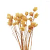 Fleurs décoratives 150 pièces Mini marguerite séchée petite étoile Bouquet plantes naturelles préserver Floral pour bureau mariage décoration de la maison