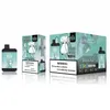 Authentieke Bang King 8000 Rookwolken E-sigarettenkit Wegwerpvapes Voorgevulde 16ml-pods Oplaadbare 850mAh-batterij Mesh Coil Bang Vape Box Vaporizer