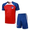 Training suit soccer tracksuits 23 24 JOAO FELIX home 2023 2024 M. LLORENTE Correa camiseta football set GRIEZMANN R. DE PAUL Cunha CARRASCO Atletico MadridS POLO vest