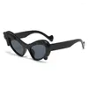 Sunglasses Brand Designer Flying Horse Frame Women For Men Trendy Cat Eye Sun Glasses Vintage Luxury Punk Hip Hop Shades