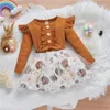 Meisjesjurken Herfstjurk Baby Meisjes Geribbelde Tule Stiksels Ruches Casual Prinses Feest A-lijn Vestidos Lange Mouw Voor Geboren Kinderen