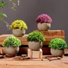 Fleurs décoratives boule d'herbe vert artificiel en pot bonsaï maison jardin chambre balcon bureau décoration petites fausses plantes bonsaï Wrea
