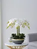 Decorative Flowers FQ Nordic Living Room Side Table Decoration Simulation Flower Pot Ornaments