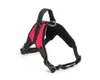 Valphund Bröstkrage Nylon Robust hund Harness Rivet Dekorativa husdjur Leases For Dogs Supplies Tillbehör Många färger3832199