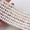 Kedjor 3A Grad 10-11mm Button Shape Natural White Freshwater Pearl Strand Wholesale